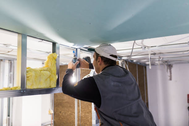 Types of Insulation We Offer in Ocoee, FL